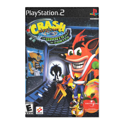 Crash Retro Gaming Rug